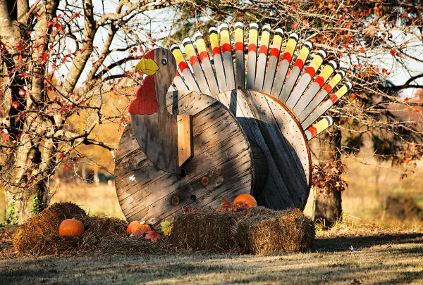Tips For Turkey Safety
